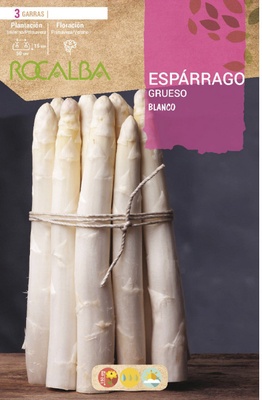 Esparragos de Mesa Grueso -blanco-